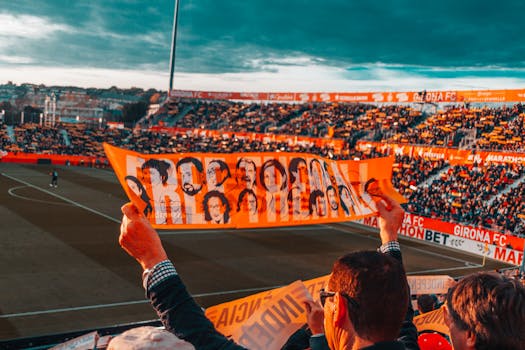 cheering fans at a soccer game