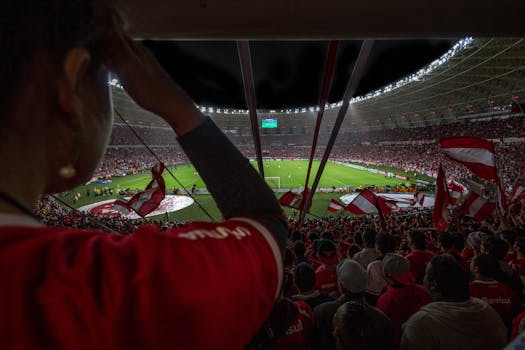 fans cheering for rival teams