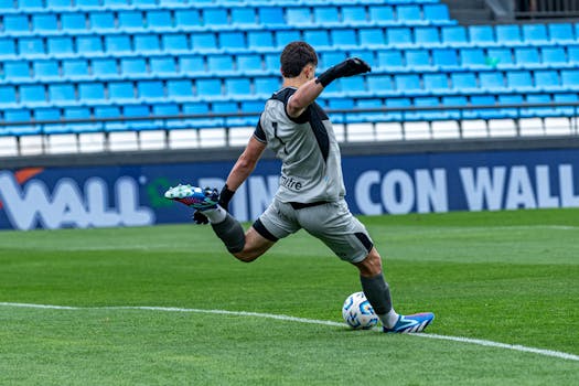 goalkeeper preparing for a penalty kick